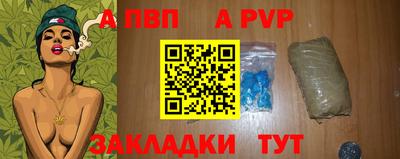 стаф Будённовск