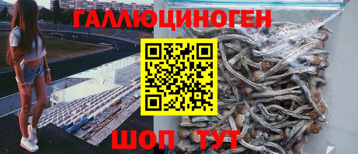 Галлюциногенные грибы GOLDEN TEACHER  Вход с VPN  Галлюциногенные грибы Psilocybe  Ливны 